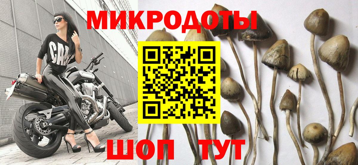 Ярцево  Галлюциногенные грибы мухоморы  Вход с VPN 