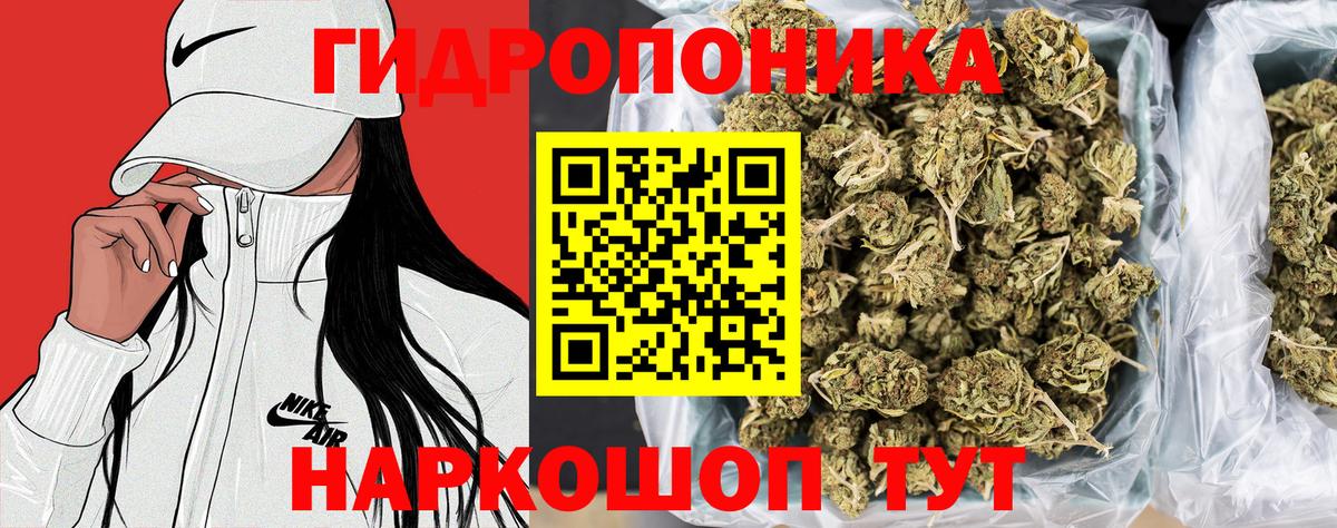 Бошки Шишки VHQ  Вход с VPN  Канабис THC 21%  Каннабис THC 21%  Ярцево 
